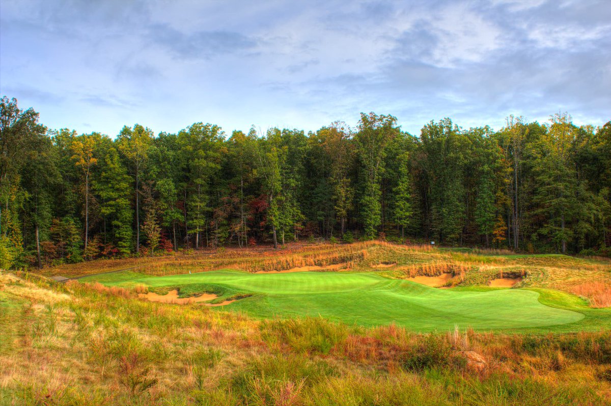 Preserved Links tweet media