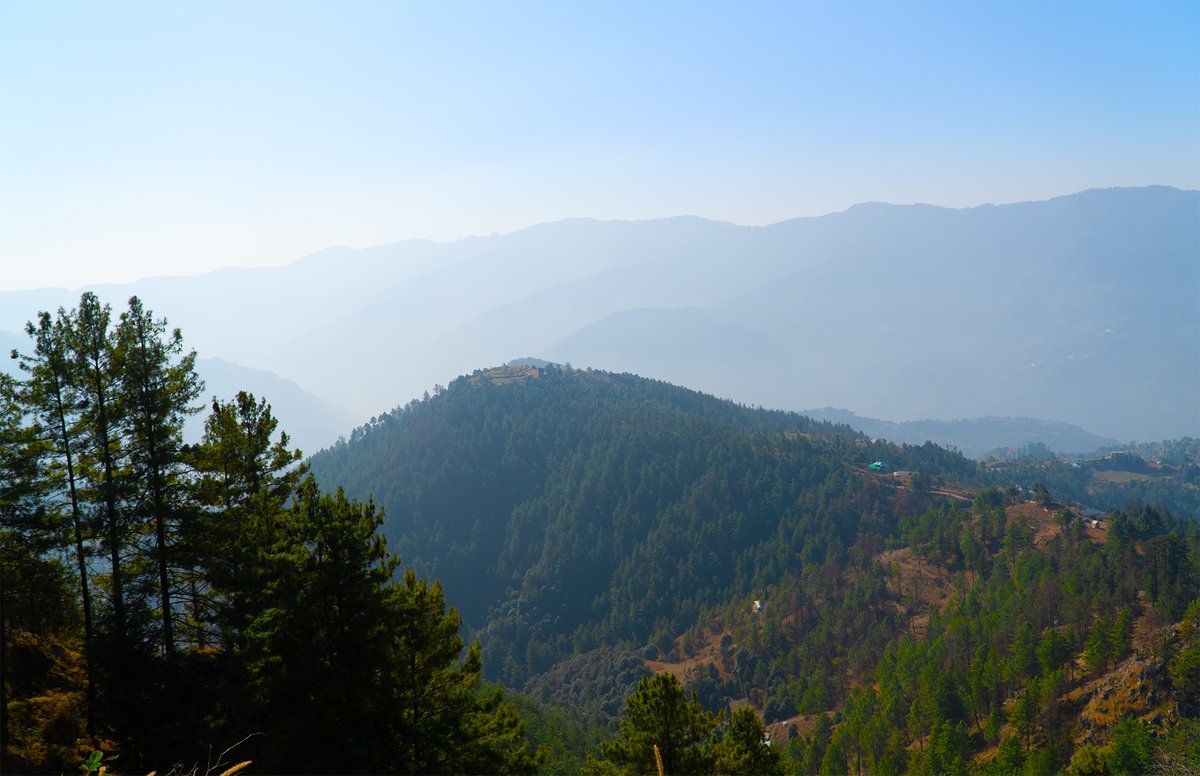 T4Tourism tweet media