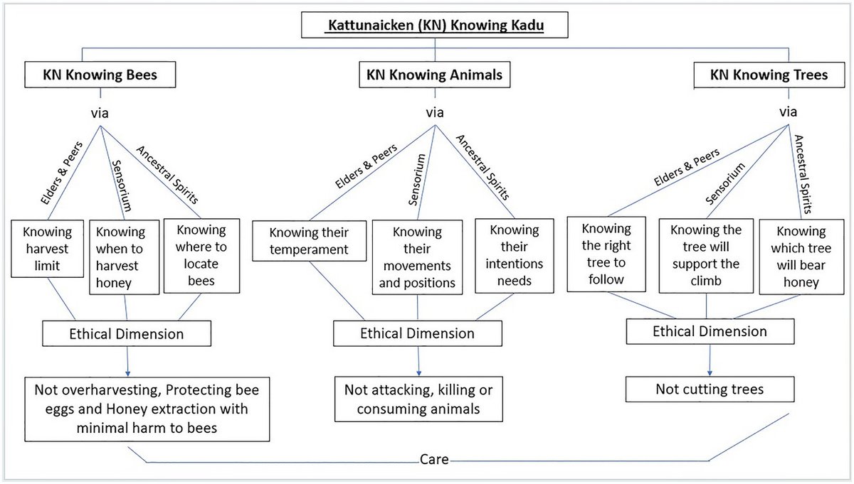 ConBiology's tweet image. In this article, A.J. Sebastian shares that #Indigenous epistemologies centered on caring relations with #nature offer more holistic forest management models.🌿You can read their full article at doi.org/10.1111/cobi.1…
#conservation #science #stem #wordoftheweek #epistemological
