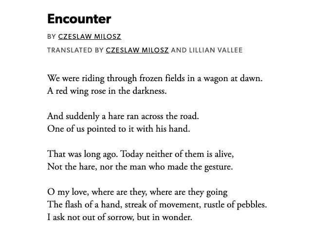 buy FENESTRATION tweet media