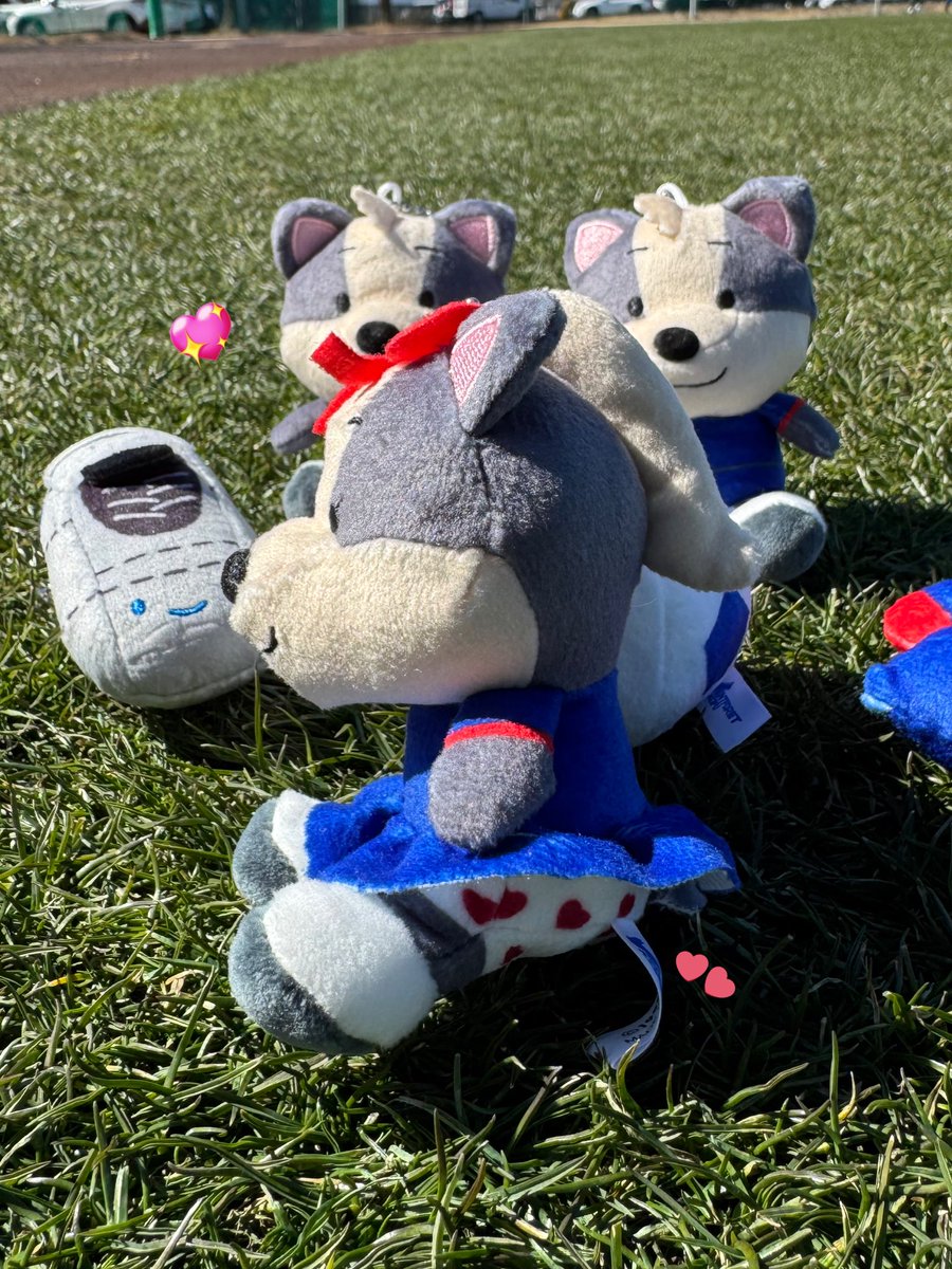 🔹𝑵𝑬𝑾 𝑮𝑶𝑶𝑶𝑫𝑺🔹 ✔️ 【ガチャ】ヴァンフォーレぬいぐるみ