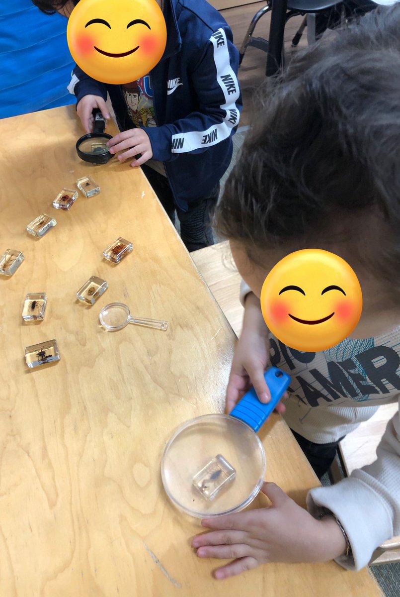 ElisaRea2's tweet photo. We love bugs @HooverCFISD! 🐜 🐞 🦋 
#BeAHooverHero #PathtoAmazing https://t.co/5hbMbQIAi1