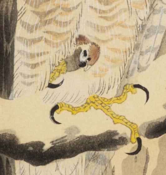 小原古邨「鷹と温め鳥」。温め鳥（ぬくめどり）とは、冬の夜、鷹が小鳥