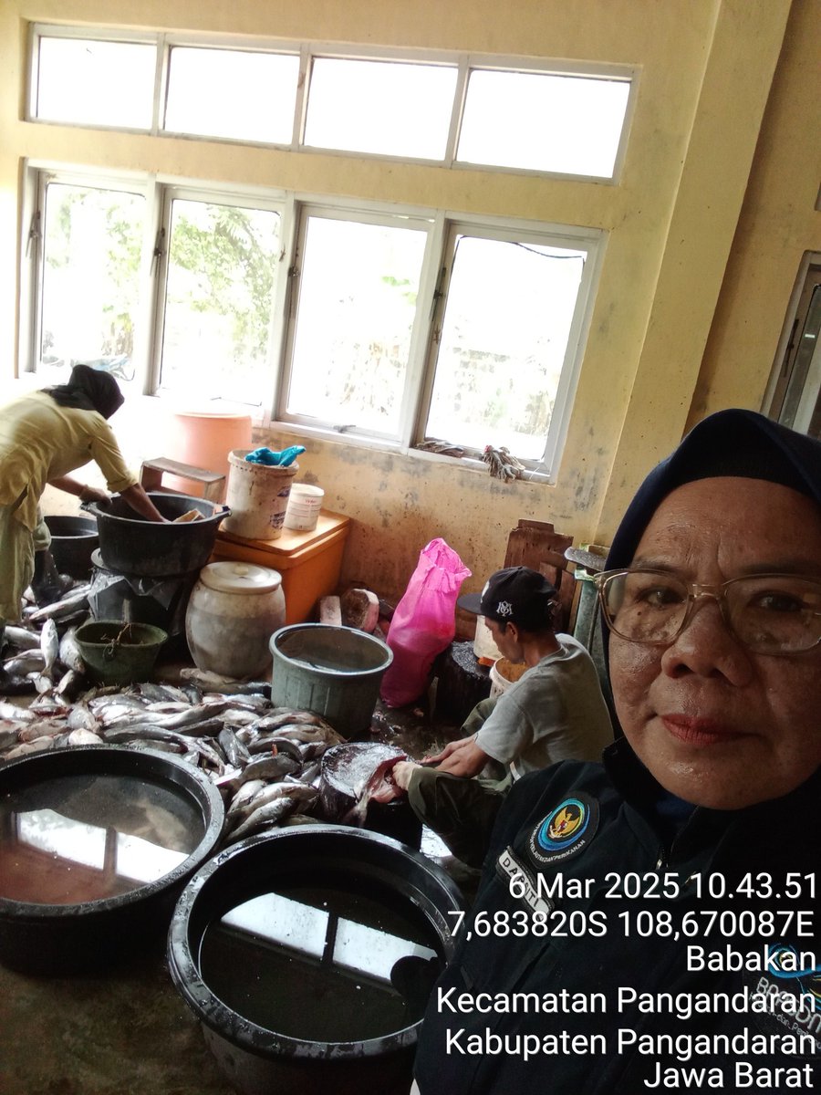 Darsitipnd's tweet image. Kamis (6/3/25), Darsiti Luhkan Kab. Pangandaran, di poklahsar babakan makmurdua, Ds Babakan mdpngi pglhn ikan asin jambal roti sbyk 300kg, ikan kewer dan tiga waja 250 kg.
#GiatLuhkanSatminkalBogor #Pangandaran #Produksi #Luhlapor @bppsdm_puslatkp @brpbatpp_bogor @kkpgoid