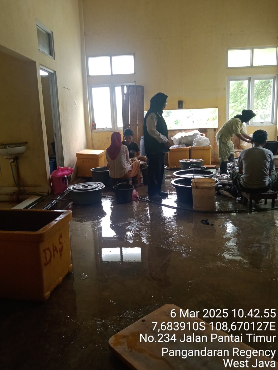 Darsitipnd's tweet image. Kamis (6/3/25), Darsiti Luhkan Kab. Pangandaran, di poklahsar babakan makmurdua, Ds Babakan mdpngi pglhn ikan asin jambal roti sbyk 300kg, ikan kewer dan tiga waja 250 kg.
#GiatLuhkanSatminkalBogor #Pangandaran #Produksi #Luhlapor @bppsdm_puslatkp @brpbatpp_bogor @kkpgoid