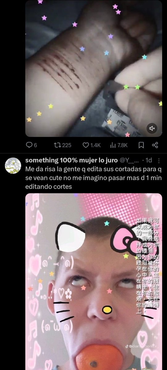 Dylan en decadencia tweet media