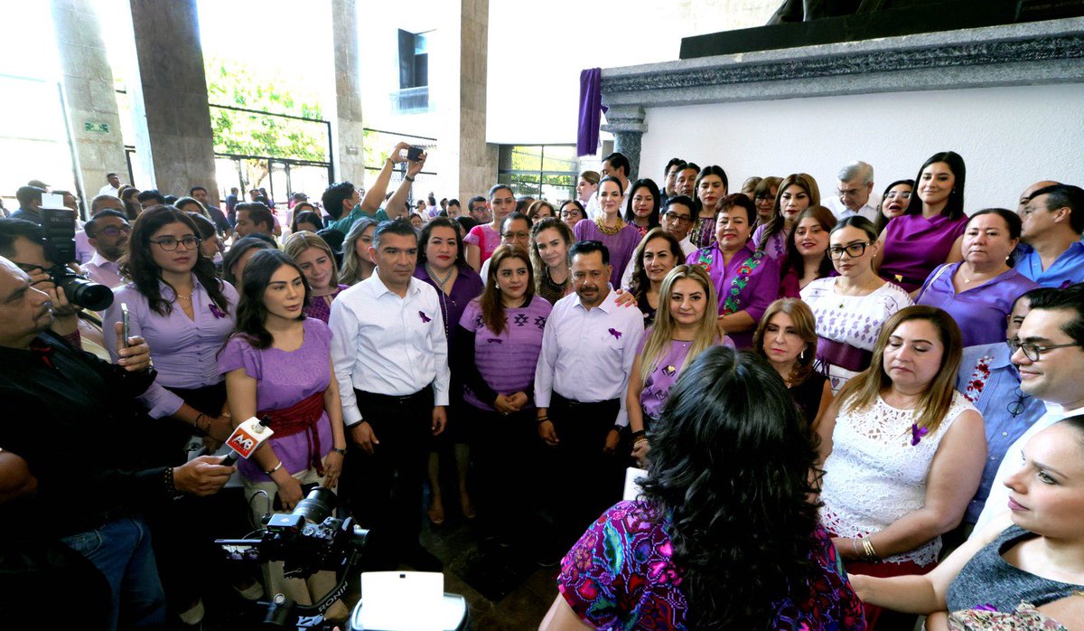 llevamos a cabo el webinar sobre la constitucionalidad del procedimiento especial sancionador, impartido por Sergio Moreno Trujillo, Secretario de Estudio y Cuenta del TEPJF. También asistí al Congreso del Estado al acto conmemorativo del 8M.
Marea morada 💜💜💜💜