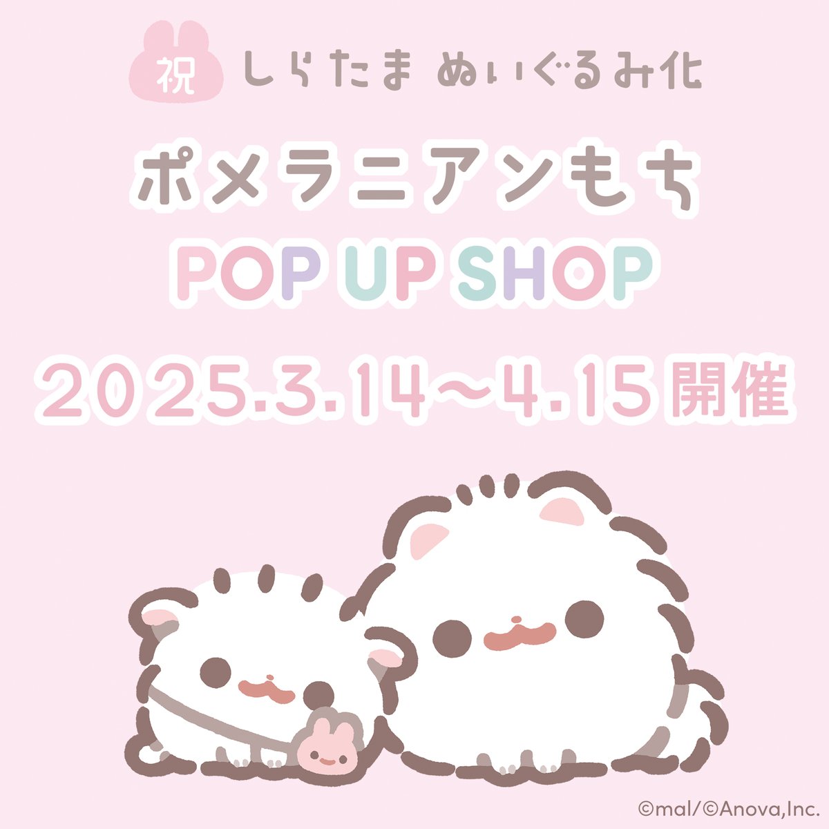 ポメラニアンもち しらたま 個展 サイン 原画 ポメラニアンもち on X: 