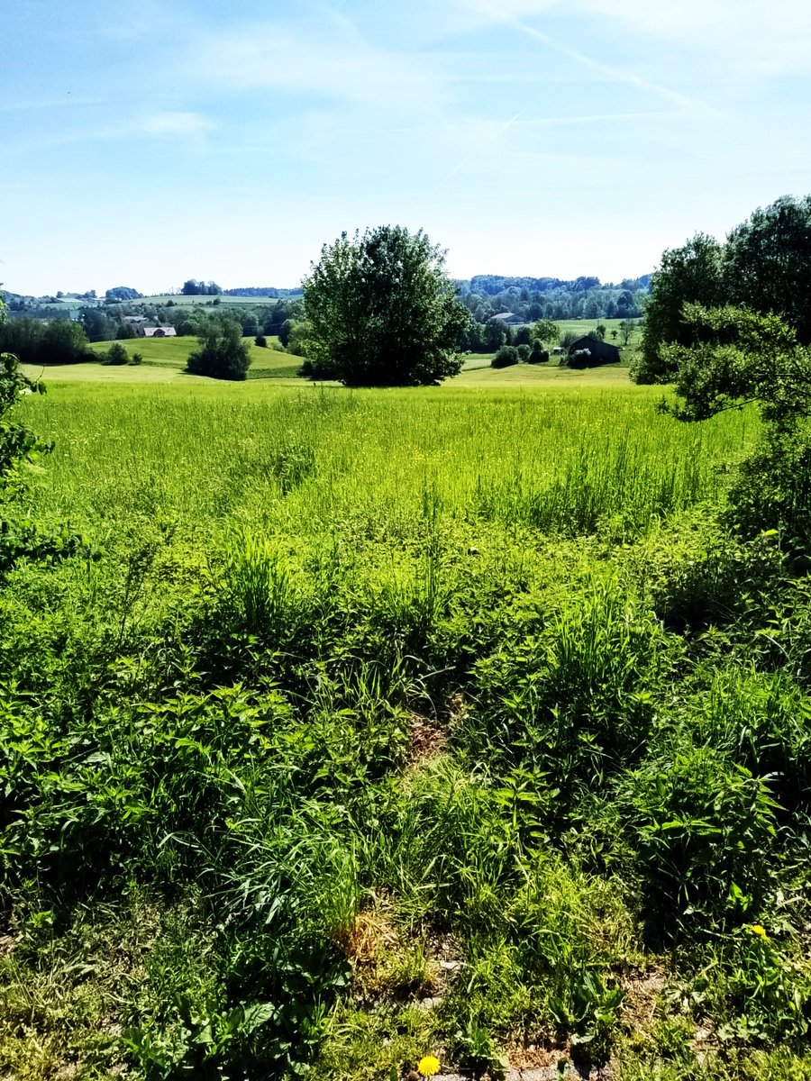 The journey of life continues with a new day and the hope of wonderful encounters and experiences. I wish my beloved and much appreciated fellow inhabitants of the wonderful planet Earth a good morning and a fantastic day. May God bless you.❤️💙💚☘️🌿🌱🌳🌲🍀💚