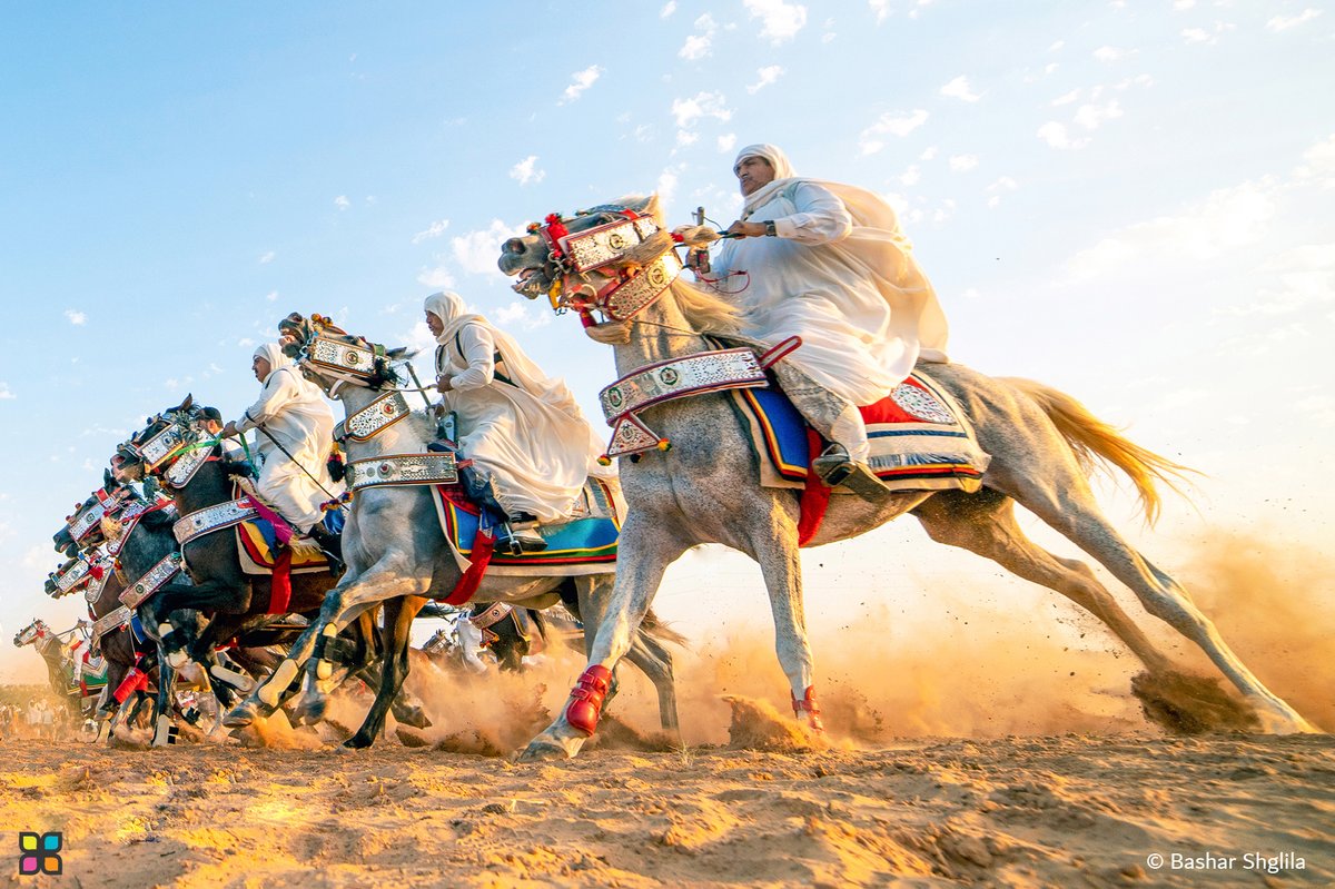 📸 #PhotoOfTheDay 

"Libyan Cavalry | فرسان ليبيا"

© Bashar Shglila | Libya
<a href="/BasharShg/">Bashar</a> 

#HIPA #HIPAae #photography #photographerlovers #Libya #EventPhotography #CaptureTheMoment
