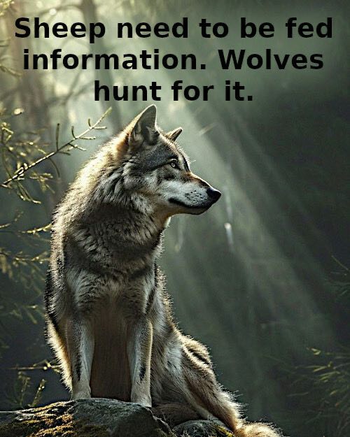 Deb Werner-Allen tweet media