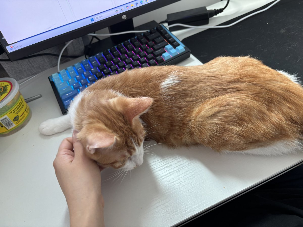 pluto_0h's tweet image. 마우스 패드 책임지고 돌려내 이것아….