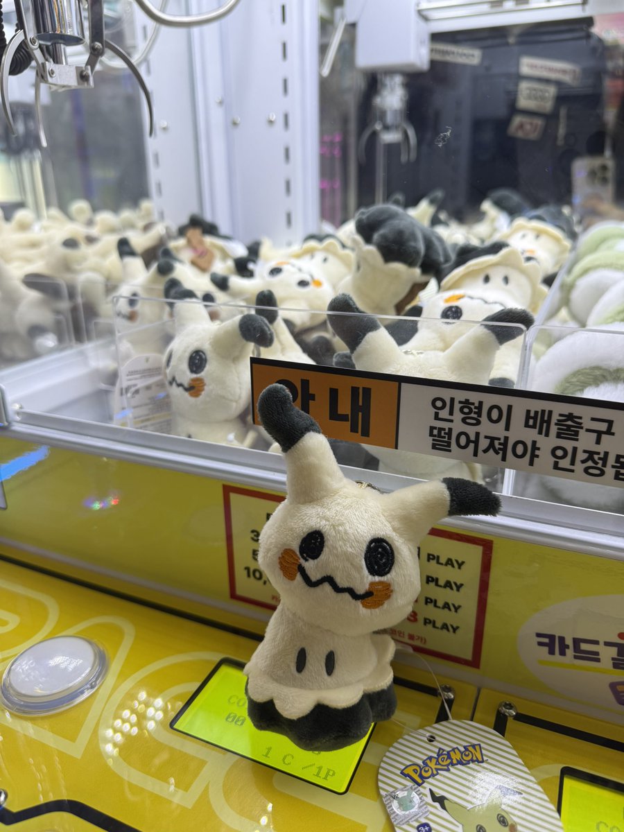 Vamos (@trevi_r6s) on Twitter photo 