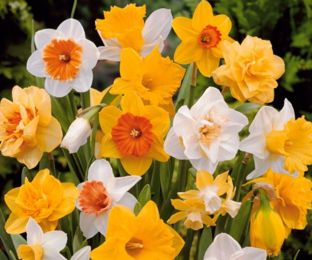 Guten Morgen ☕️🥳☀️
Die Sonne trifft uns diese Woche mit voller Wucht.
Jeden Tag der laden voll.
Alle wollen Eis 😁😅
Mir graust es schon vor dem Wochenende 🤣🤣
Habt einen wundervollen Donnerstag!!! 🤩🥰