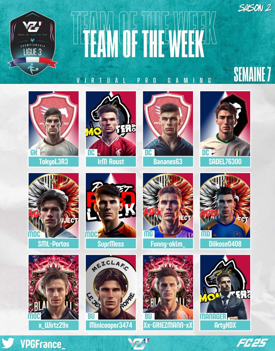 VPG France tweet media