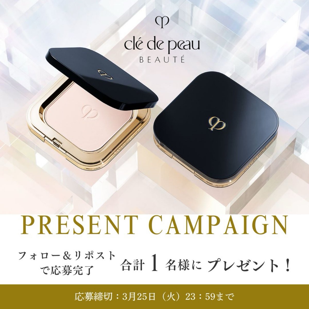 プードルコンパクトエサンシエルn