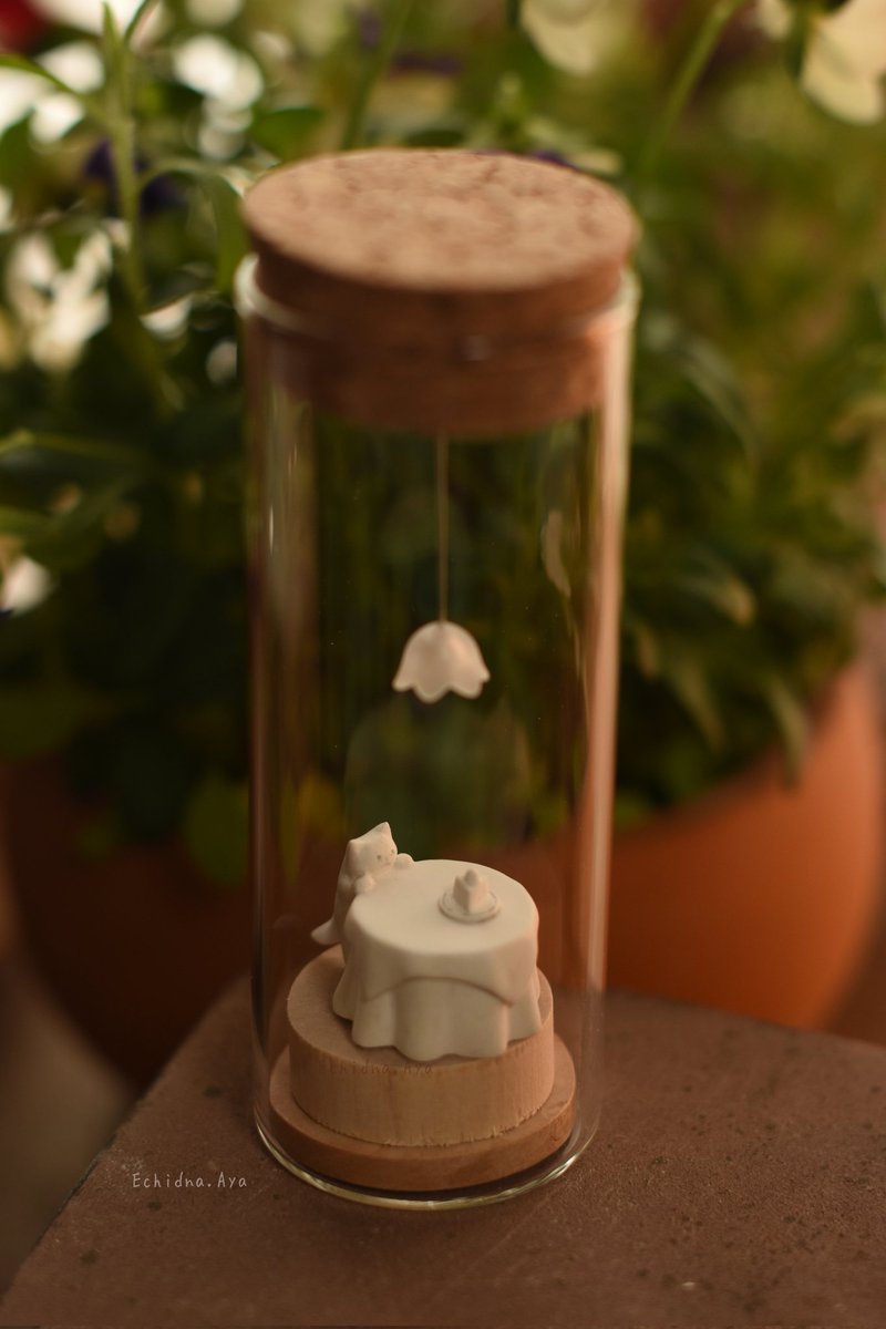 新作の原型が完成🍰
小さなエキドナの世界「猫とケーキ」