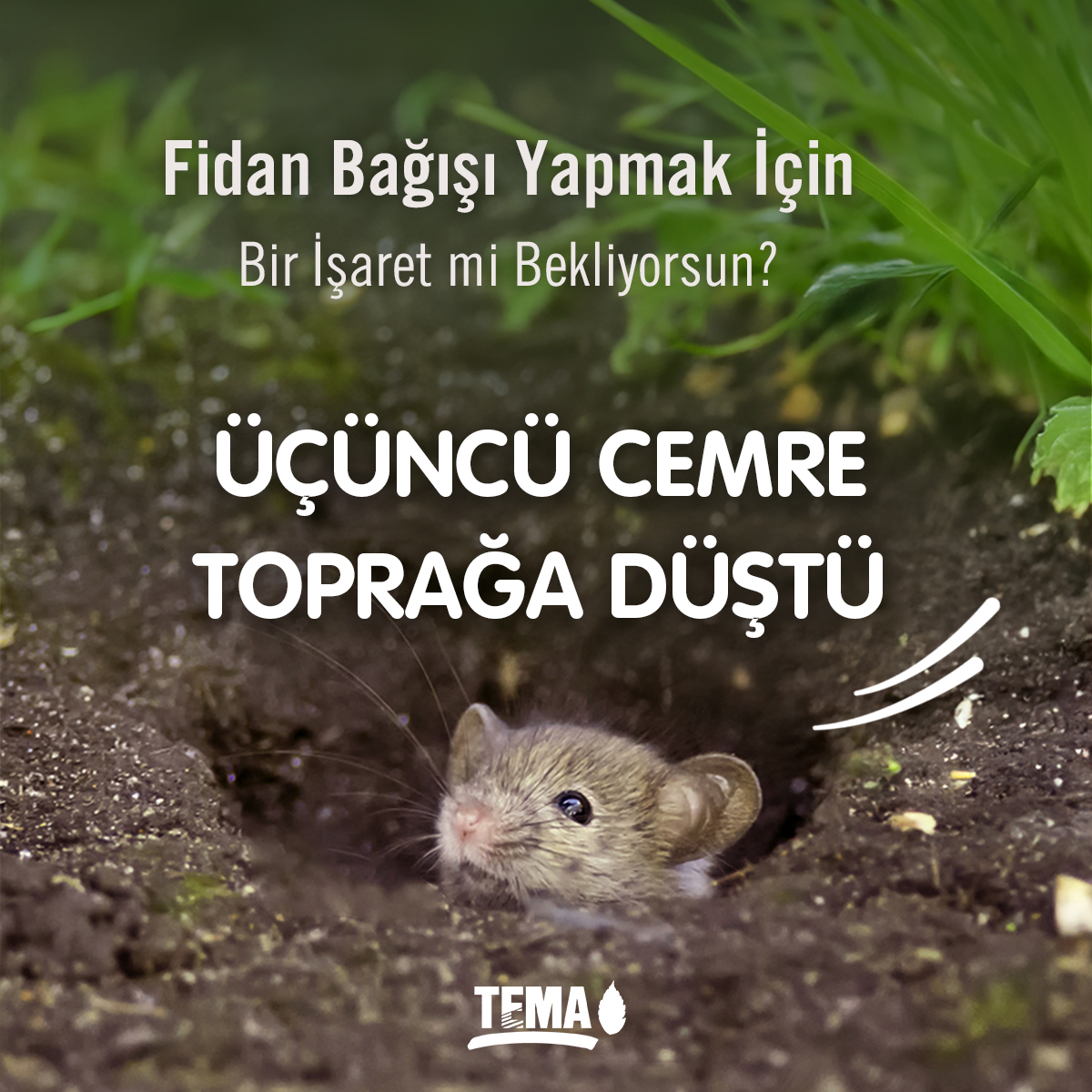 Fidan Bağışı Yapmak İçin Bir İşaret mi Bekliyorsun?

İşte geldi 💚

🌱 Üçüncü cemre toprağa düştü!

Toprak ısınıyor, filizler uyanıyor…

🌳 Bahar gelirken sen de bir fidan bağışı yaparak doğaya bir iz bırak!

👉 tema.org.tr/fidan-bagisi-s…
