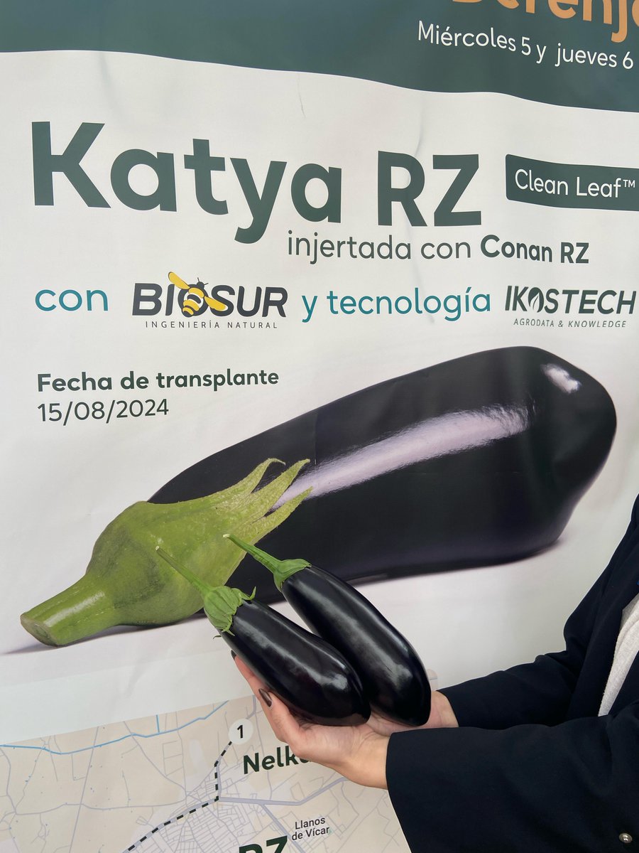 Hoy hemos estado visitando las jornadas de <a href="/rijkzwaanES/">Rijk Zwaan ES</a> en la zona de La Mojonera, donde, ayer y hoy han mostrado en campo su nueva berenjena 🍆 Clean Leaf, Katya RZ, y la negra Nelka RZ... 
 fhalmeria.com/feria-eventos-…