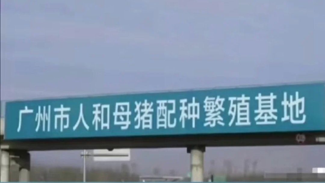 这他娘的要笑死我了🤣