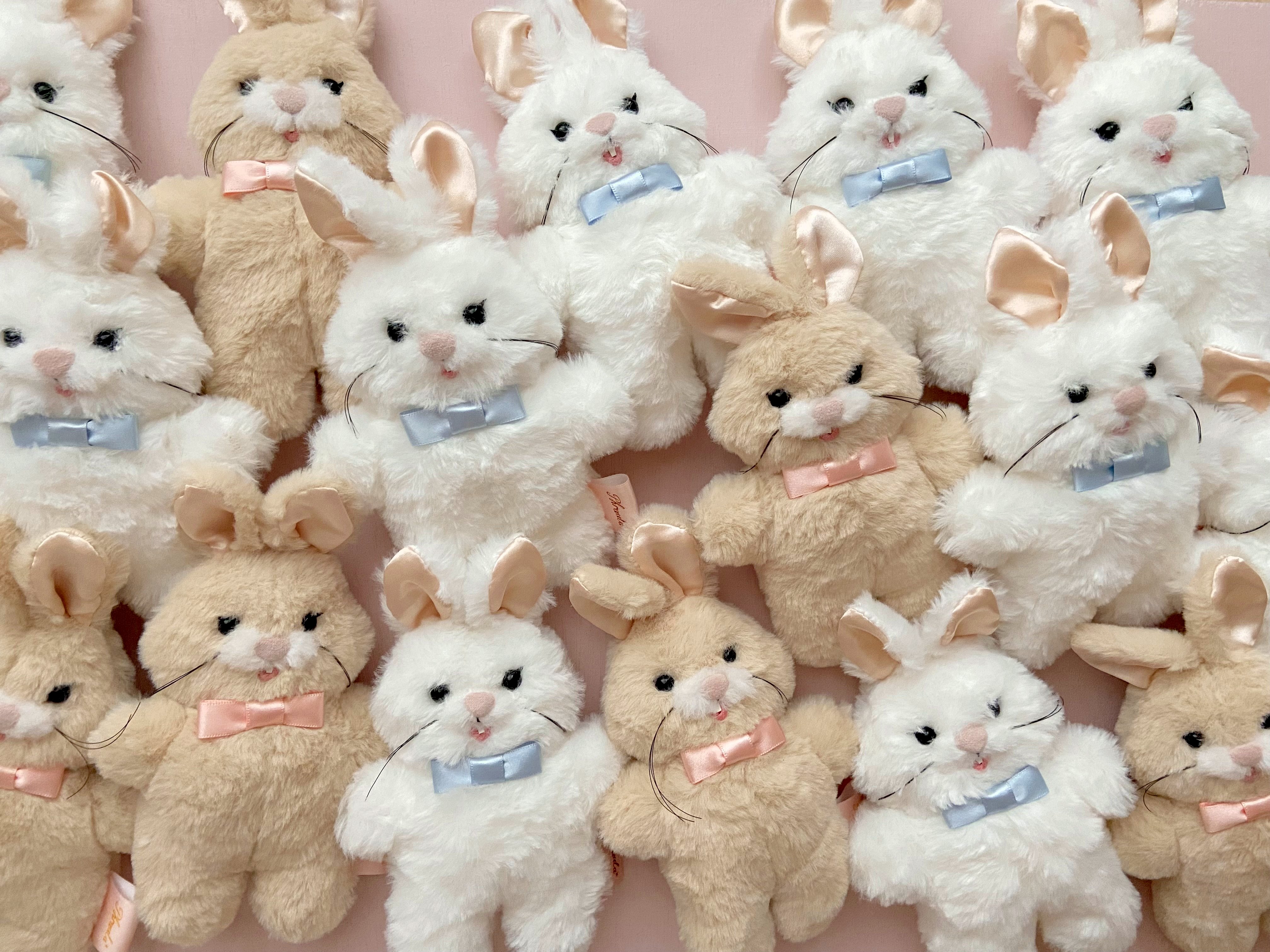 𝘈𝘬𝘪 . 𝘗𝘩𝘳𝘢𝘶𝘭𝘢* (@aki_phraula) / X