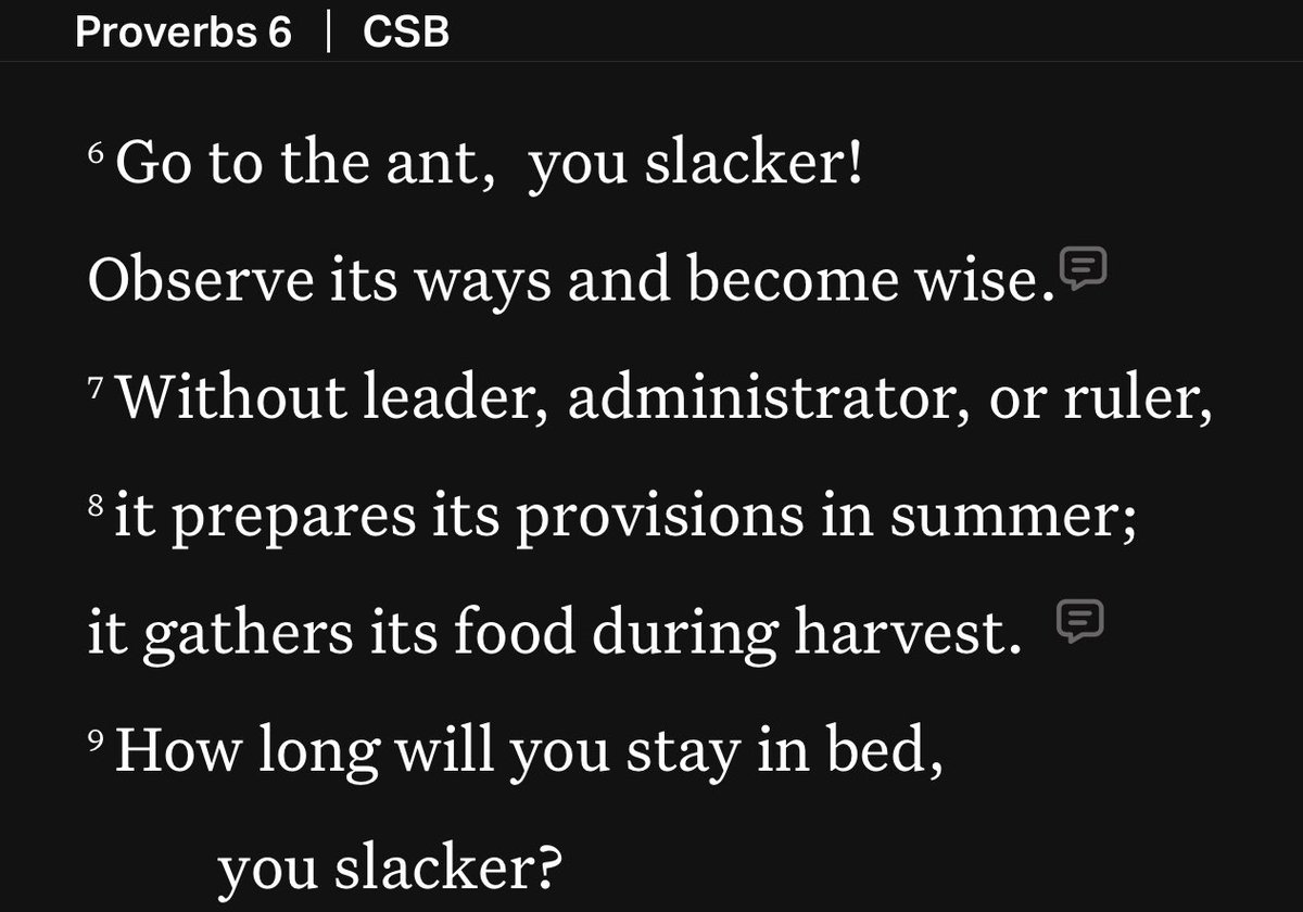 Don Mathews tweet media