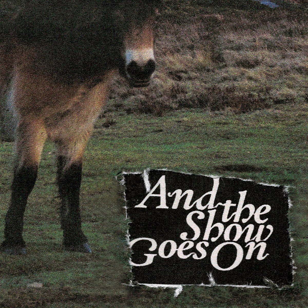 DesignByRudy's tweet image. And the Show Goes On - Album Cover Design
.
#art #artist #graphicdesign #albumcover #albumart