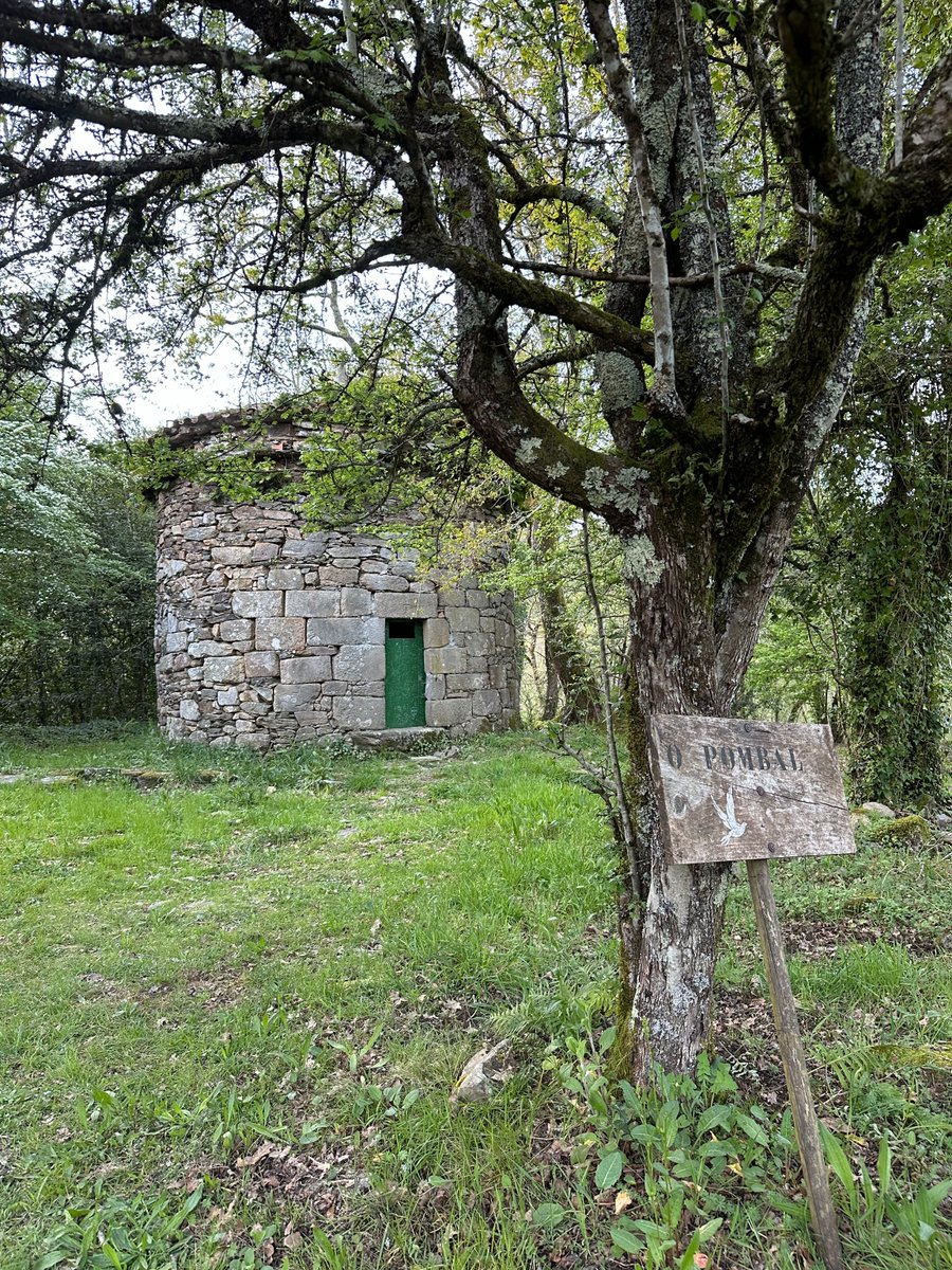 Sabías por que non se pode acceder ao interior do palomar do Mosteiro de Carboeiro?

Pois porque alí se refuxia unha especie protexida e ameazada: unha colonia de morcegos de ferradura 🦇

Unha das innumerables curiosidades do cenobio silledense