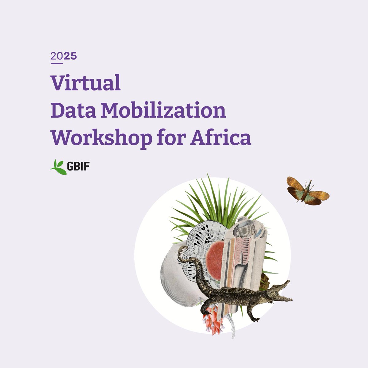 🔎 Calling biodiversity data practitioners in #Africa!

Registrations are open for the 2025 Virtual Data Mobilization Workshop for Africa held across June - July 2025. 📌

The course is online and self-paced, with registrations closing 6 May 2025. 

🔗gbif.link/mobilization-w…