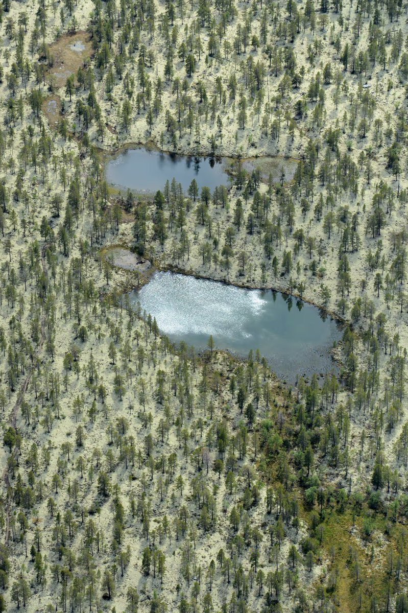 lassetur_n's tweet image. ------------------------------------------------
As the Norwegian summer dawned, a gentle mist lifted, unveiling towering mountains. A golden glow spread over the frozen landscape, filling the crisp, silent air with a soft, otherworldly warmth.

#PhotoNFT #lassetur #nfts #NFT…