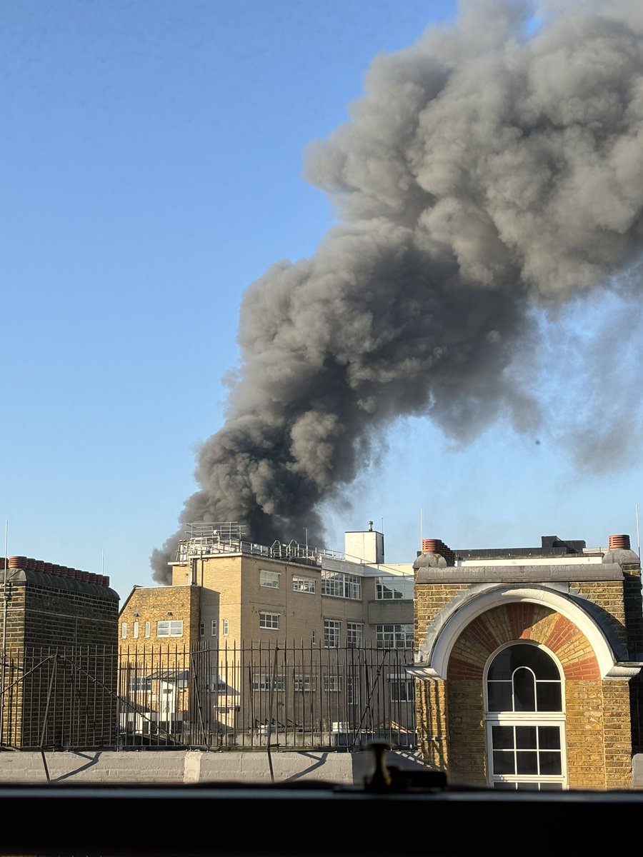 Alice Moore tweet media