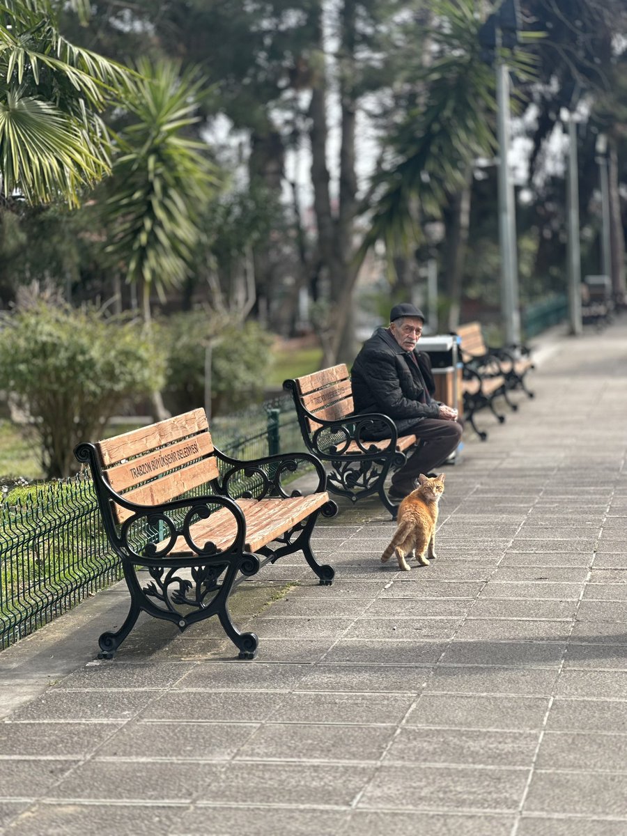 ipkcgizem's tweet photo. Günaydın #trabzon 🌞 https://t.co/SddxBDexz2