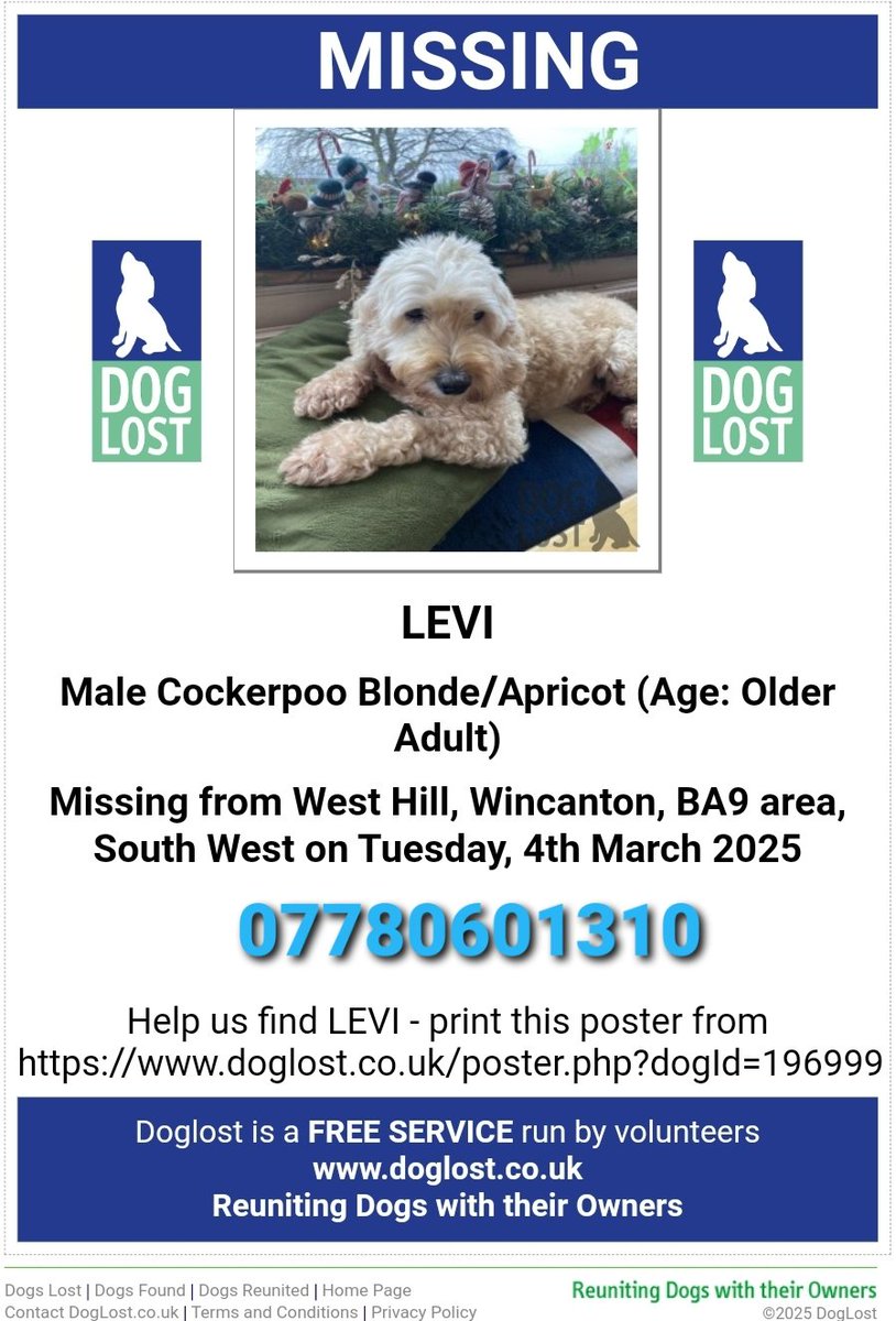 MissingPetsGB's tweet photo. 🐕 #URGENT ELDERLY PARTIALLY DEAF & BLIND LEVI #MISSING after escaping his garden around noon
#Cockerpoo Missing from West Hill #Wincanton #BA9 since Tuesday 4 March 2025
He is MICROCHIPPED & NEUTERED https://t.co/6F4vIqcs0T