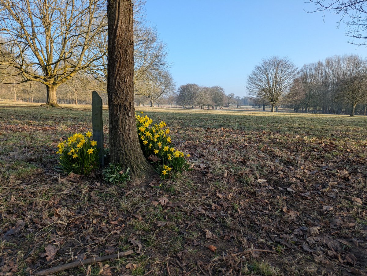 Budd Mendis (@mendb999) on Twitter photo I don't always enjoy or want to go to work but I love my walk there. β€οΈ
<a href="/WollatonHall/">Wollaton Hall</a>
#wollatonpark I don't always enjoy or want to go to work but I love my walk there. β€οΈ
<a href="/WollatonHall/">Wollaton Hall</a>
#wollatonpark