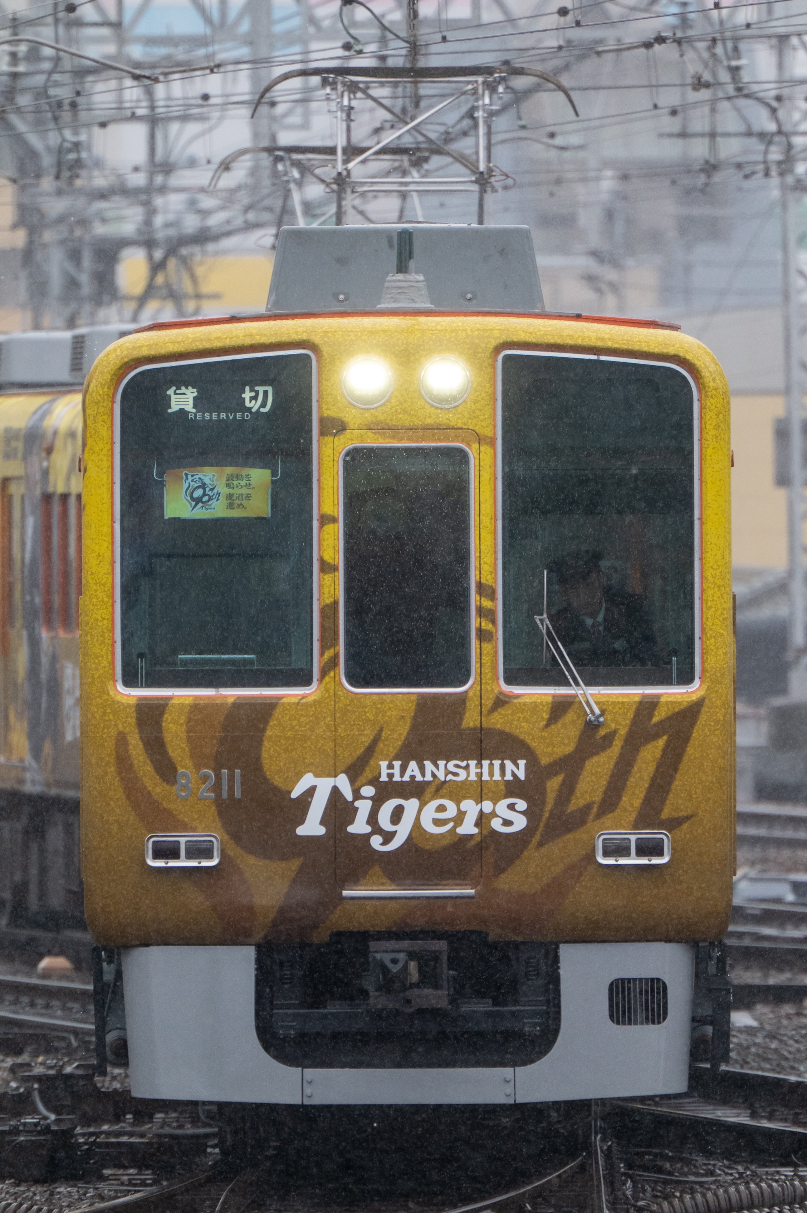 阪神番号板3111先頭車