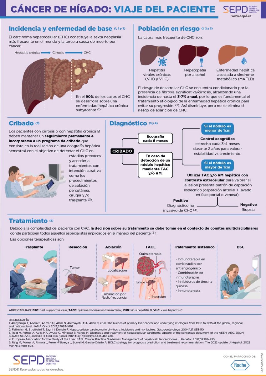 Cáncer de hígado, viaje del paciente #salud 👇¿Cuál es su tratamiento? #Infografía <a href="/sepdigestiva/">Sociedad Española de Patología Digestiva (SEPD)</a>
