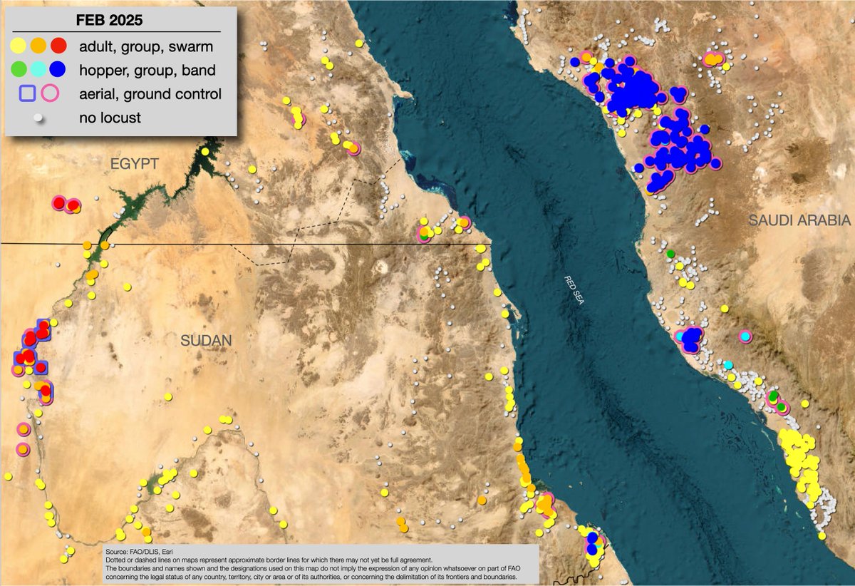 ℹ️Desert locust Update: Breeding continues

➡️Outbreaks persisted in northern Sudan &amp; southern Sahara
➡️Control operations decreased in February
➡️Forecast: Spring breeding is expected to commence
➡️Hopper groups &amp; bands expected to⬆️in Algeria &amp; Libya
fao.org/locust-watch/en