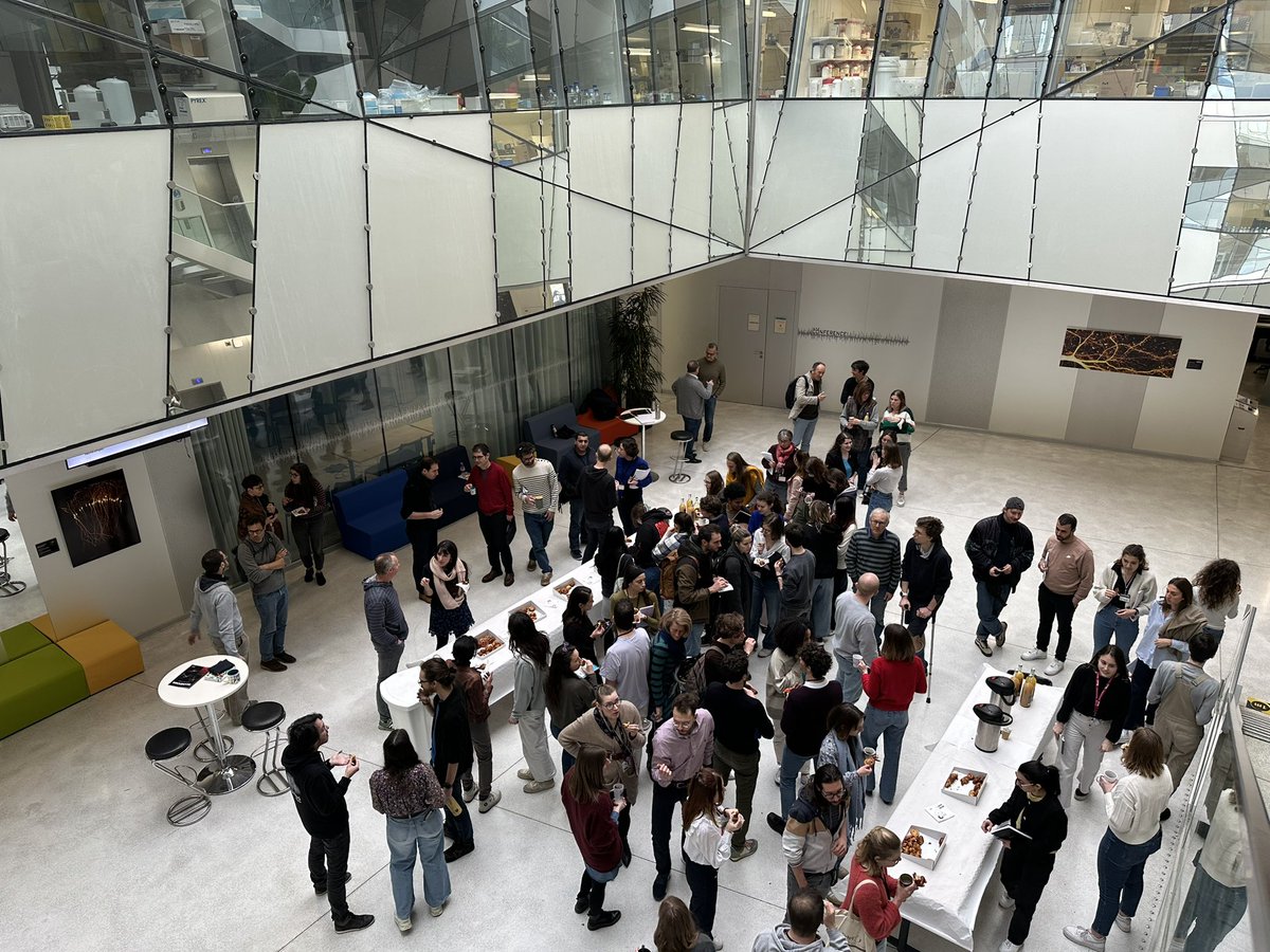 Interdisciplinary Institute for Neuroscience 🧠 (@iins_bordeaux) on Twitter photo #IINSmeeting👥🟢 Today #IINScommunity💚 will be discussing the presentations by
🧪Margaux Saint-Martin on ‘Synaptic proteins in astrocytes’
🧠Léa Villetelle on ‘Role of GluN2B C-terminal domain in cortical development’
Followed by a convivial breakfast together☕
<a href="/Neuro_Bordeaux/">Bordeaux Neurocampus</a> #IINSmeeting👥🟢 Today #IINScommunity💚 will be discussing the presentations by
🧪Margaux Saint-Martin on ‘Synaptic proteins in astrocytes’
🧠Léa Villetelle on ‘Role of GluN2B C-terminal domain in cortical development’
Followed by a convivial breakfast together☕
<a href="/Neuro_Bordeaux/">Bordeaux Neurocampus</a>