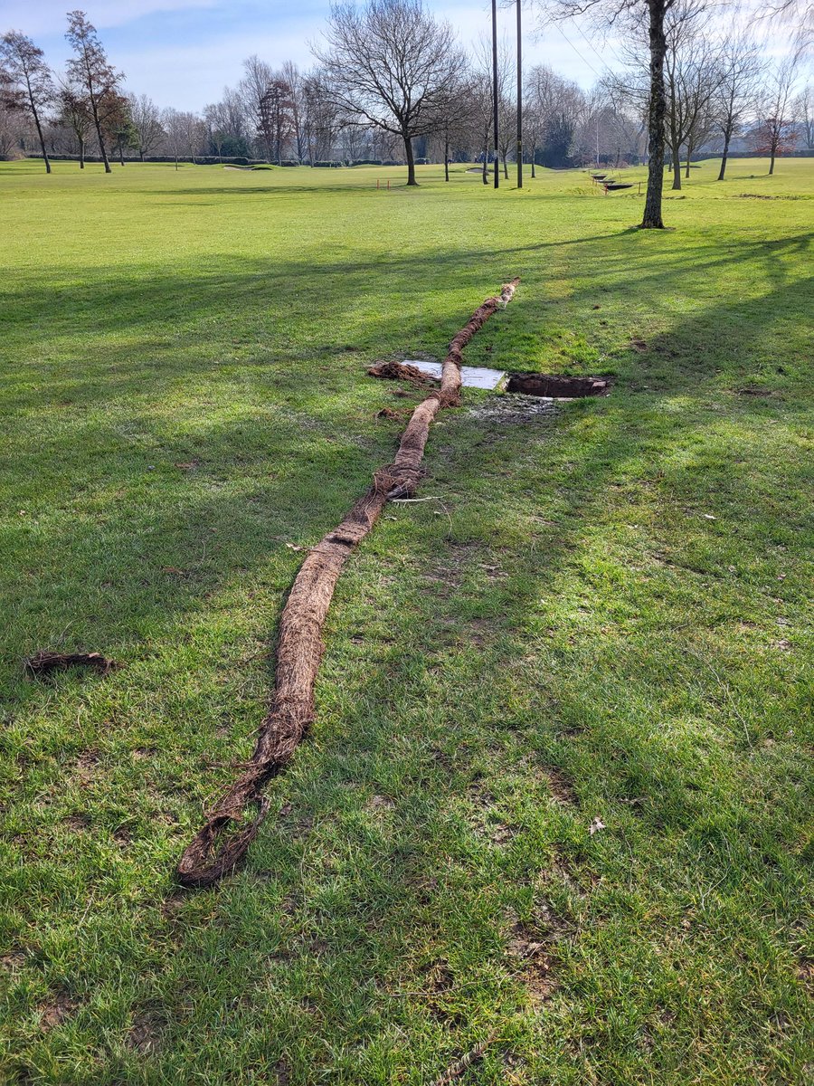 Ely City Greenkeeping Team tweet media