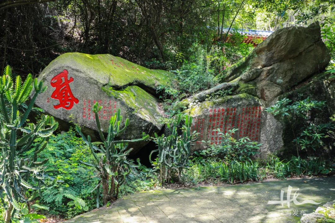 CZhizhuxia's tweet photo. #CitywalkinZhuhai Shixi Park, west of #Zhuhai Guyuan Museum of Art, offers a tranquil setting for a leisurely hike among the lush vegetation. https://t.co/hfDrPXNBD4