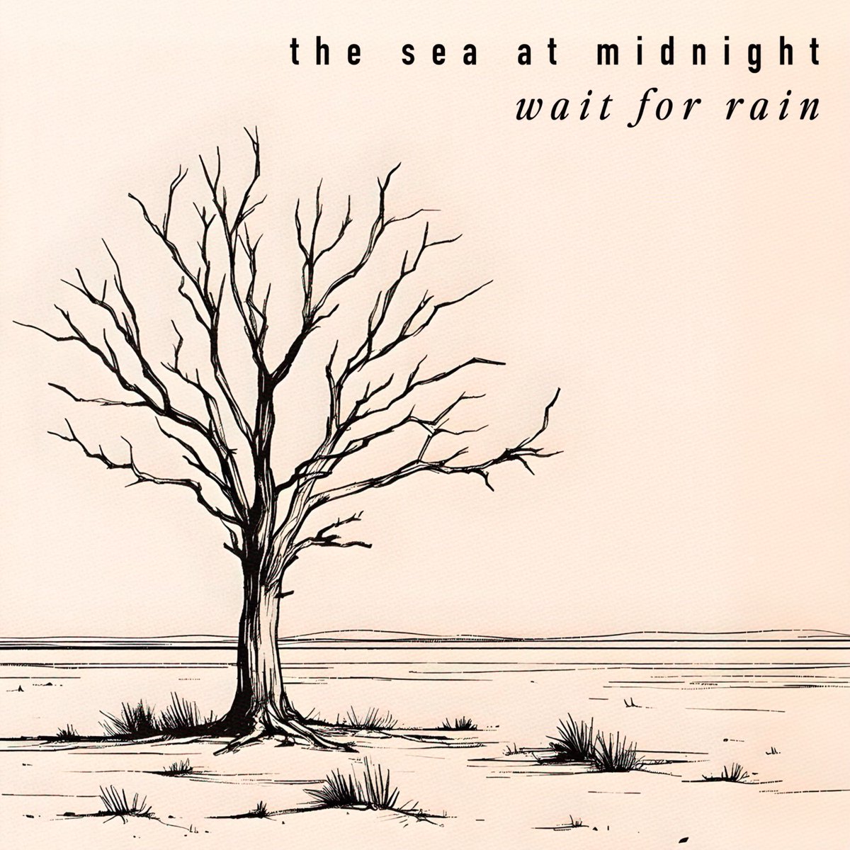 "Wait For Rain" by The Sea At Midnight is a compelling track that masterfully blends post-punk, new wave, and synth-pop elements to create an evocative soundscape.
brokencolormusic.com/review-the-sea…