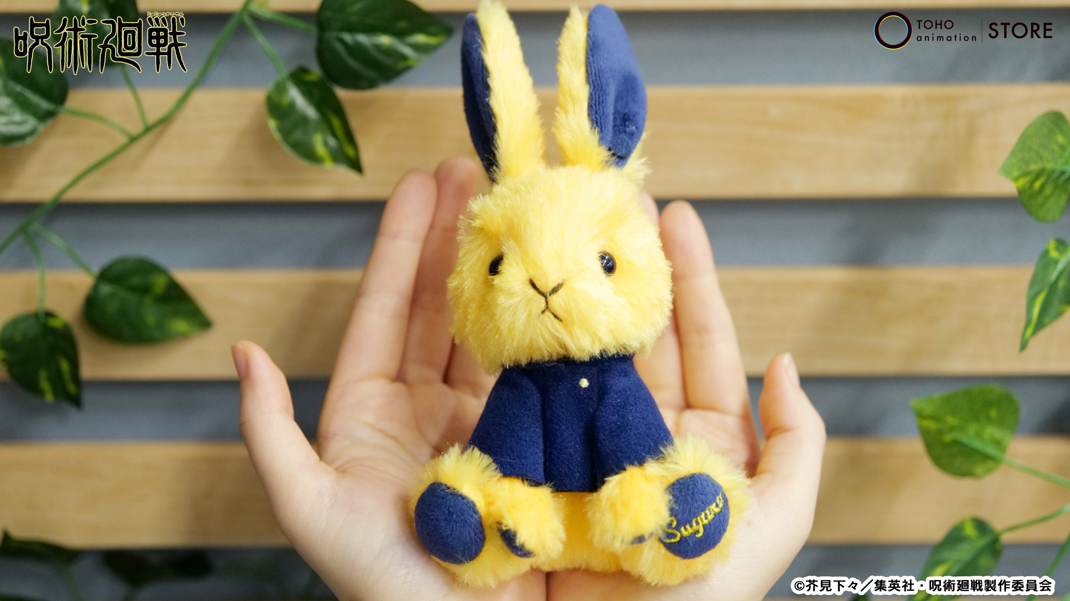 TOHO animation STORE on X: 