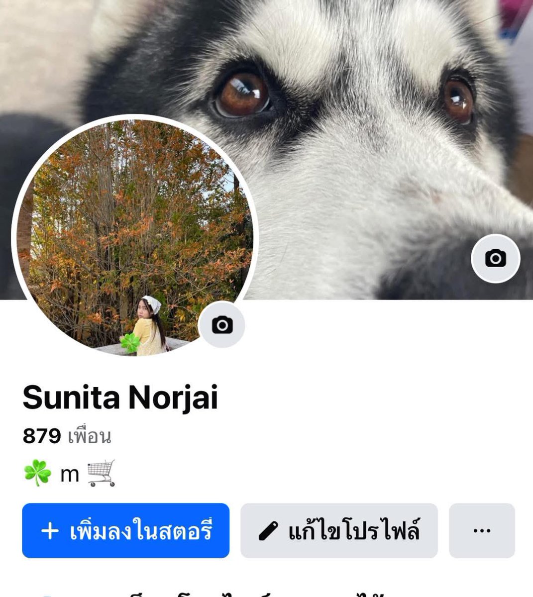มัคเมิ้ก〠 tweet media