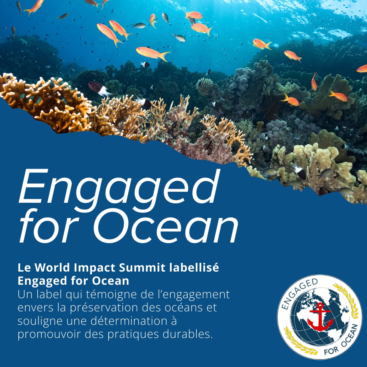 🌏 La 7e édition du World Impact Summit labellisée Engaged for Ocean. 🌊

Retrouvez l’article complet sur notre site internet : bit.ly/EngagedForOcean

#worldimpactsummit #bordeaux #wis2025 #label #engagedforocean #pratiquesdurables #préservation #océan