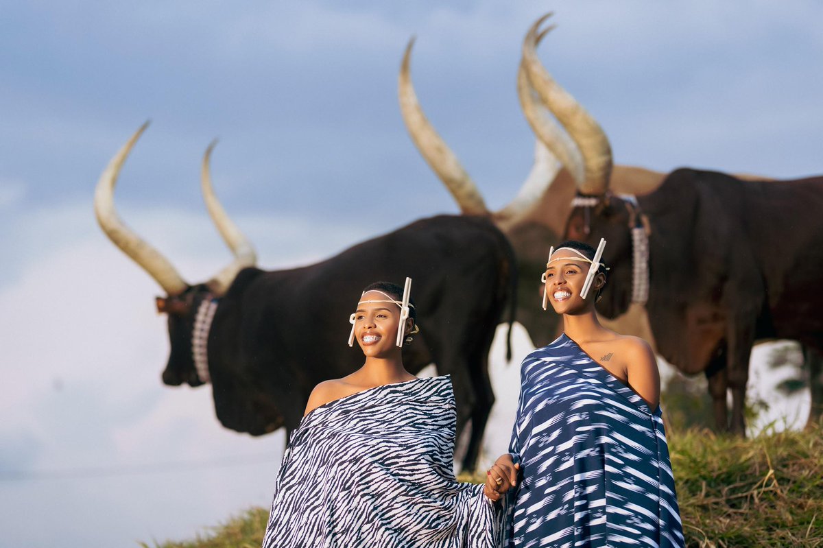 FulKwizera's tweet image. Ikaze mu Gitaramo cyitwa #Inka

#InkaConcert.
Gura itike yawe kuri 👇

INYAMIBWA.RW