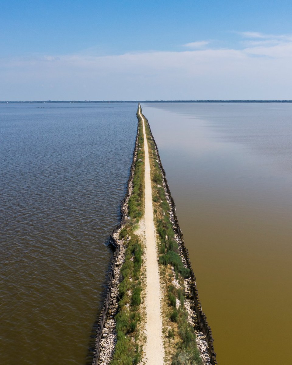 Italia.it (@italia) on Twitter photo 🌊A strip of land winding its way through the waters: Argine degli Angeli extends over 5 kilometers in
the southern area of the Valli di Comacchio.
📍<a href="/ERTourism/">inEmiliaRomagna</a>
📷Credits: Archivio <a href="/RavennaTourism/">Ravenna Tourism</a>
#italiait #ministeroturismo #discoveritaly #parcodeltapo #emiliaromagna 🌊A strip of land winding its way through the waters: Argine degli Angeli extends over 5 kilometers in
the southern area of the Valli di Comacchio.
📍<a href="/ERTourism/">inEmiliaRomagna</a>
📷Credits: Archivio <a href="/RavennaTourism/">Ravenna Tourism</a>
#italiait #ministeroturismo #discoveritaly #parcodeltapo #emiliaromagna