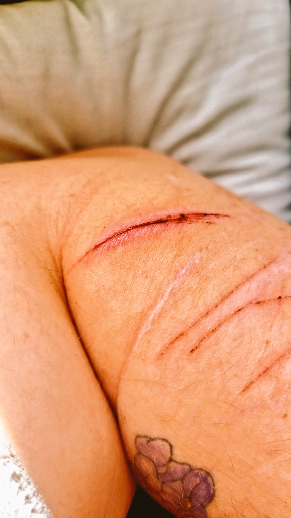 DennyAsken's tweet photo. Cut$ from yesterday's sesh, few babes, mostly styrios ,couple of beans (one of them is the close up)  #988twt #slittwt #shtwt #shedtwt #cutspo #beans #styros #SH https://t.co/qTJr9gDN6I