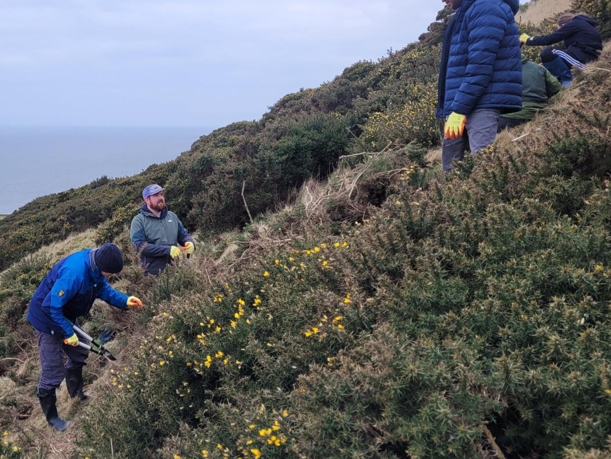 Amphibian and Reptile Conservation (@arc_bytes) on Twitter photo ARC's <a href="/SpeciesEdge/">Species on the Edge</a> project officer Liam was joined by staff & students from the University of Glasgow for a day of scrub bashing as part of Student Volunteering Week. The group selectively removed gorse bushes for the benefit of native wildflowers such as the common rock-rose. ARC's <a href="/SpeciesEdge/">Species on the Edge</a> project officer Liam was joined by staff & students from the University of Glasgow for a day of scrub bashing as part of Student Volunteering Week. The group selectively removed gorse bushes for the benefit of native wildflowers such as the common rock-rose.
