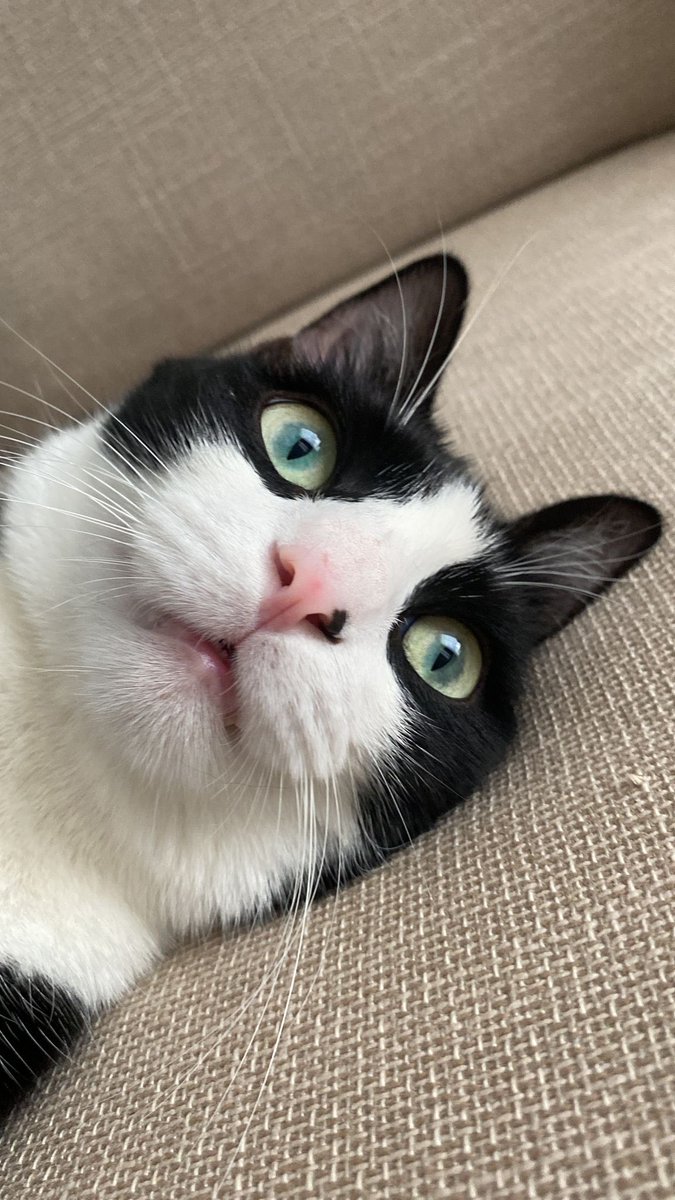 Babacım bi kere de beni paylaş dedi, beğenirseniz sevinir oğlum.