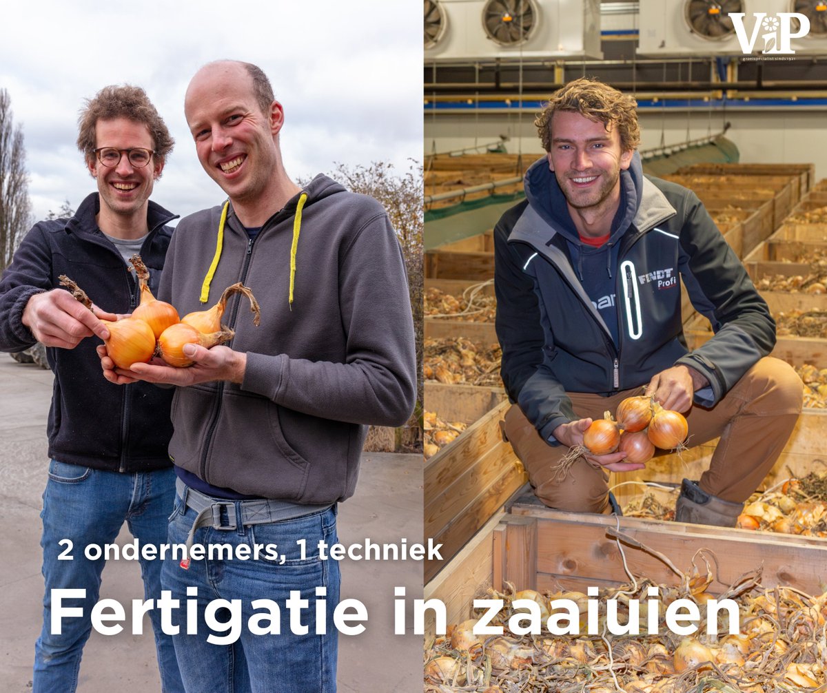 Twee bedrijven laten zien hoe zij precisietechnologie inzetten voor hogere opbrengsten, betere kwaliteit en duurzame landbouw. Lees het verhaal in onze nieuwste ViP of op de website iperen.com/kennis-nieuws/…